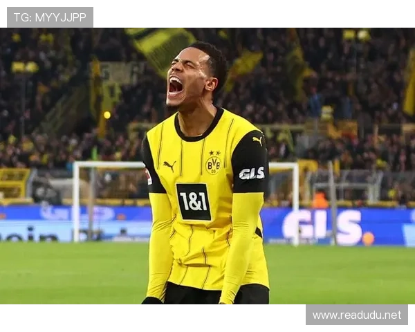 多特争冠稳定性不足问题显现,对赛季走势造成影响