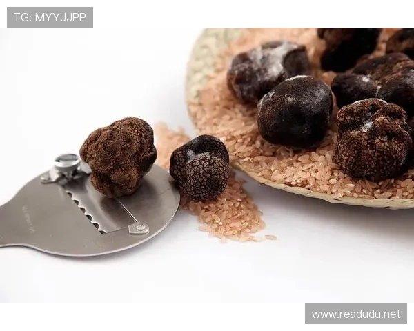 孔帕尼家里冰箱塞满黑松露，训练完直接啃？